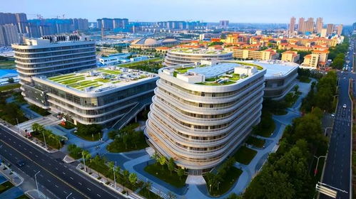 唯美 浪漫 文创式 花园式 的户外颁证基地 准新人们 心动了吗