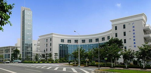 空气污染致癌风险高,绿阳为您健康保驾护航
