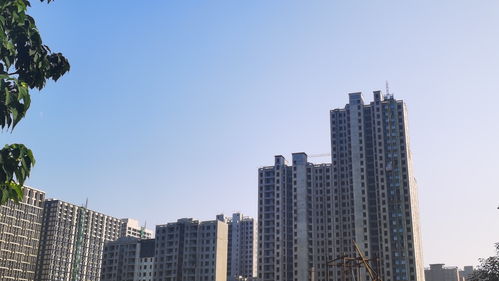 郑州名门地产 没落 身陷资金链危局,多个项目延期交房凤凰网河南