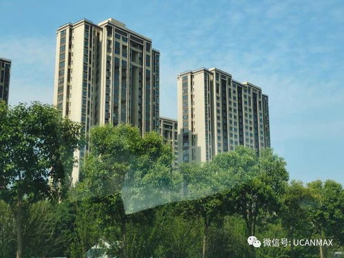康桥 那云溪的狂欢