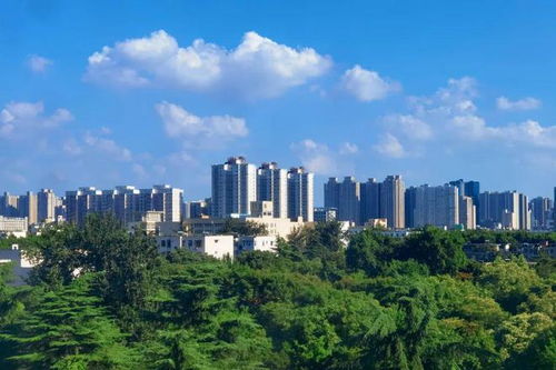 好消息 郑州新开放145处共享绿地,这些还能搭帐篷野餐