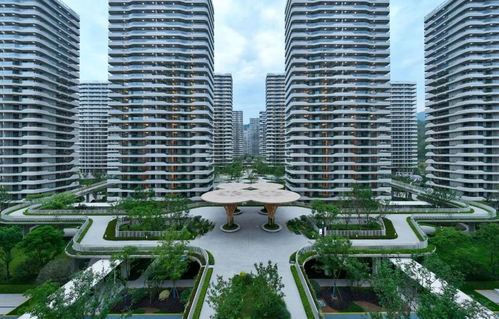 大家房产 稳健发展穿越行业波动,产品向新助力韧性前行