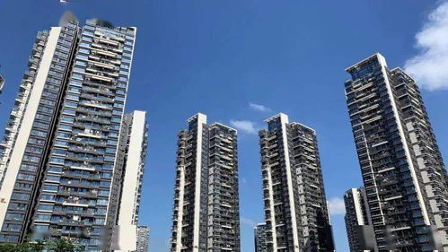 优化租房积分入学政策 深圳住建局发布最新措施并公开征求意见