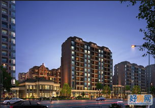 德丰麦卡伦与郑州德丰房地产开发 探索郑州房地产市场的品质标杆